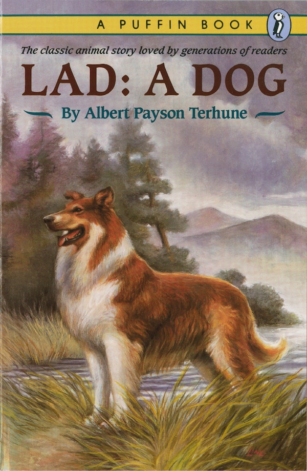 Lad by Albert Payson Terhune, Paperback | Indigo Chapters