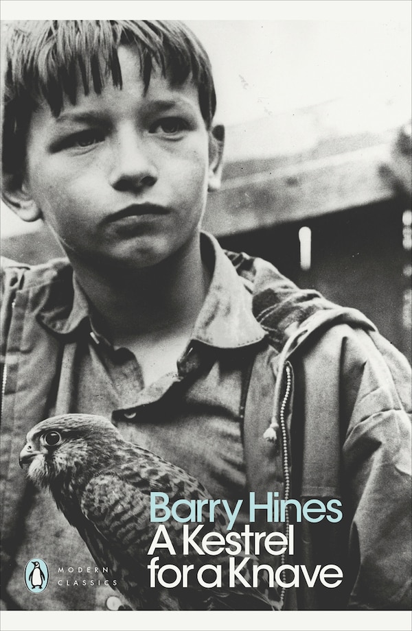 Modern Classics Kestrel For A Knave by Barry Hines, Paperback | Indigo Chapters