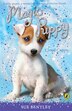 Magic Puppy #3 Cloud Capers by Sue Bentley, Paperback | Indigo Chapters