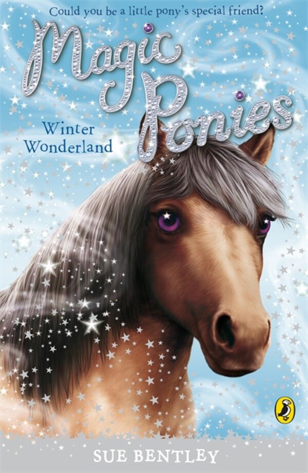 Magic Ponies: Winter Wonderland by Sue Bentley, Paperback | Indigo Chapters