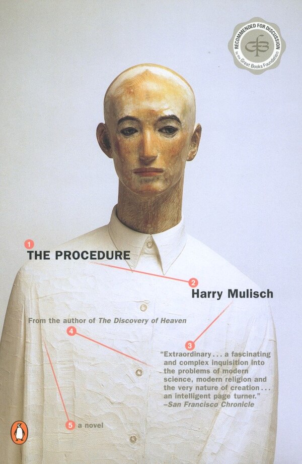 The Procedure by Harry Mulisch, Paperback | Indigo Chapters