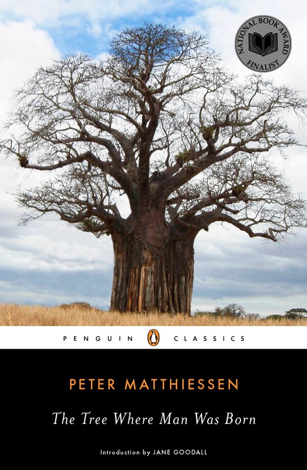 The Tree Where Man Was Born by Peter Matthiessen, Paperback | Indigo Chapters