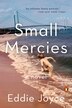 Small Mercies by Eddie Joyce, Paperback | Indigo Chapters