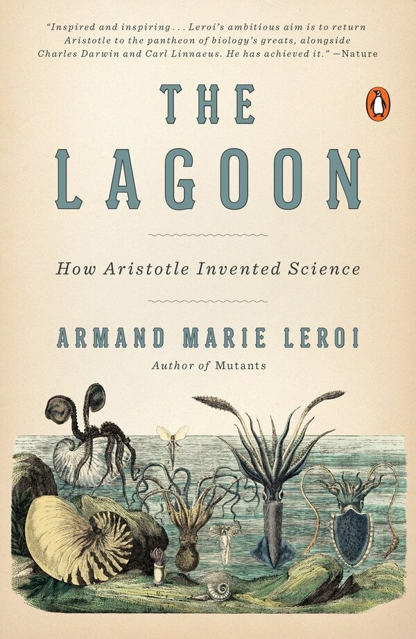 The Lagoon by Armand Marie Leroi, Paperback | Indigo Chapters