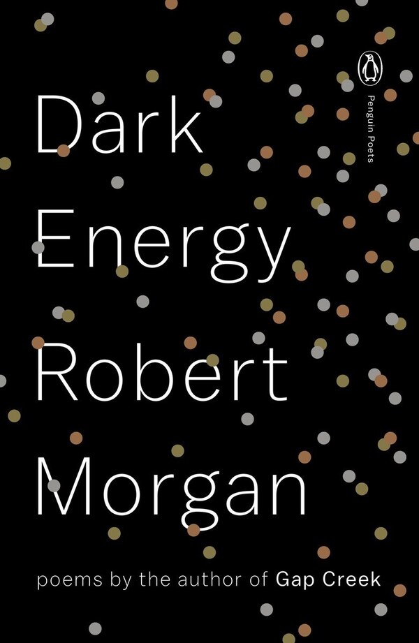 Dark Energy by Robert Morgan, Paperback | Indigo Chapters