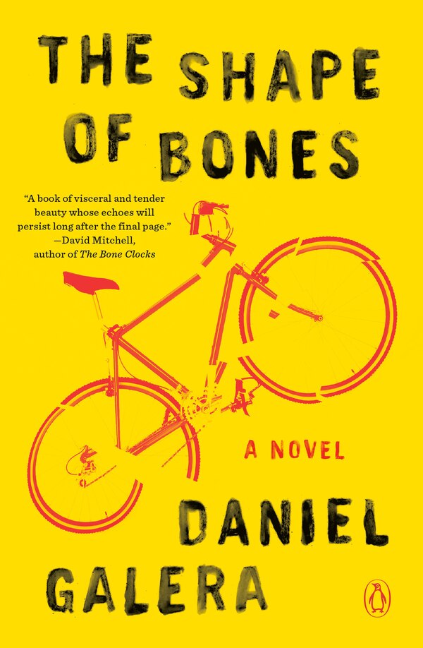 The Shape Of Bones by Daniel Galera, Paperback | Indigo Chapters