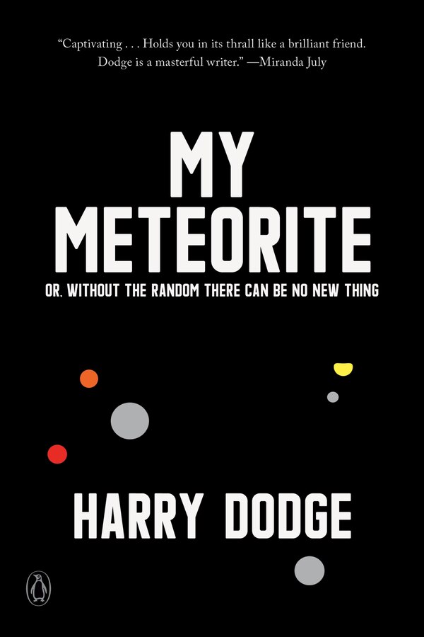 My Meteorite by Harry Dodge, Paperback | Indigo Chapters