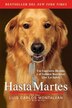 Hasta Martes by Luis Carlos Montalván, Paperback | Indigo Chapters
