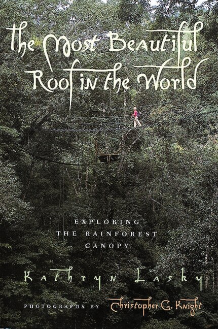 The Most Beautiful Roof In The World by Kathryn Lasky, Paperback | Indigo Chapters