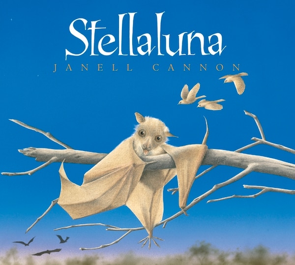 Stellaluna, Board Book by Janell Cannon | Indigo Chapters