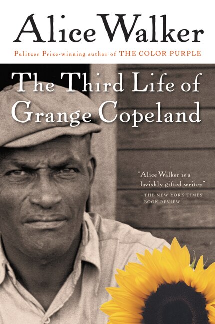 The Third Life Of Grange Copeland by Alice Walker, Paperback | Indigo Chapters