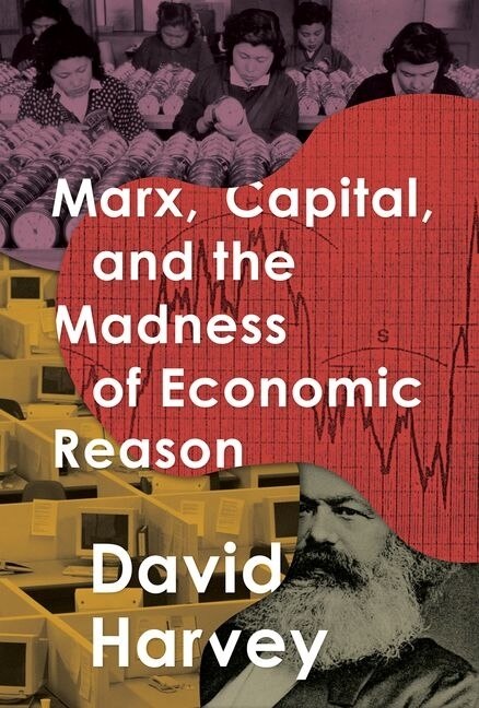 Marx Capital and the Madness of Economic Reason by David Harvey, Paperback | Indigo Chapters