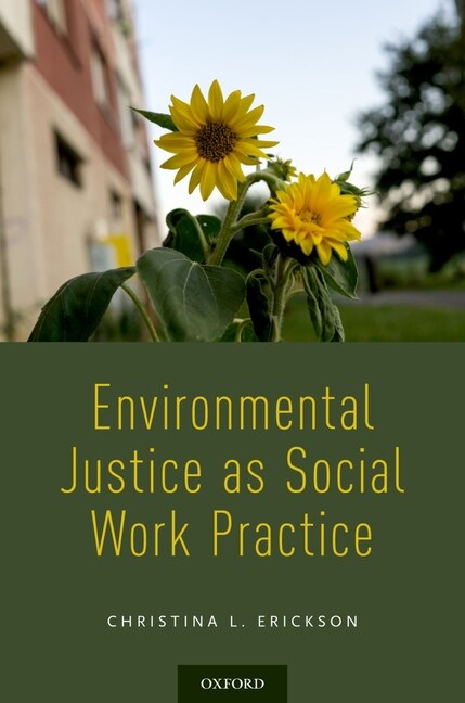 Environmental Justice as Social Work Practice by Christina L. Erickson, Paperback | Indigo Chapters