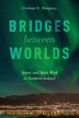 Bridges between Worlds by Corinne G. Dempsey, Paperback | Indigo Chapters