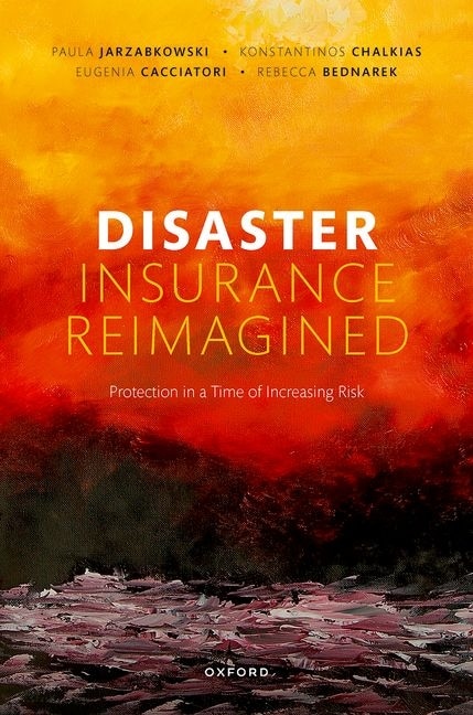 Disaster Insurance Reimagined by Paula Jarzabkowski, Hardcover | Indigo Chapters