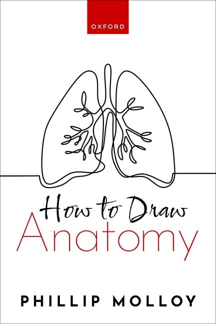 How To Draw Anatomy by Phillip Molloy, Paperback | Indigo Chapters