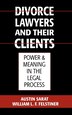 Divorce Lawyers and Their Clients by Austin Sarat, Hardcover | Indigo Chapters