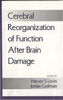 Cerebral Reorganization of Function After Brain Damage by Harvey S. Levin, Hardcover | Indigo Chapters