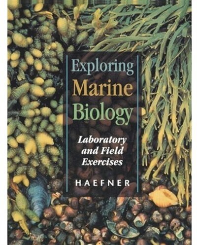 Exploring Marine Biology by Paul A. Haefner, Paperback | Indigo Chapters