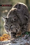 Bobcat by Kevin Hansen, Hardcover | Indigo Chapters