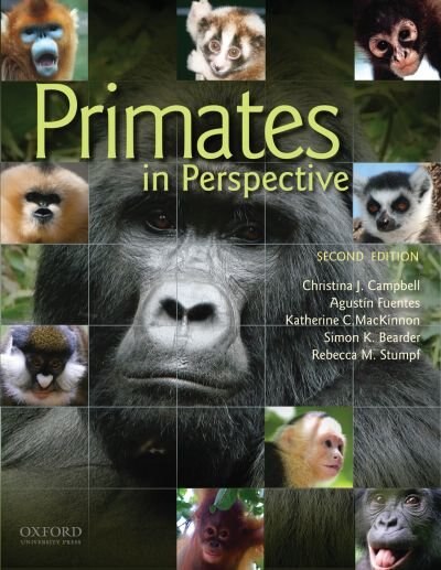 Primates in Perspective by Christina J. Campbell, Paperback | Indigo Chapters