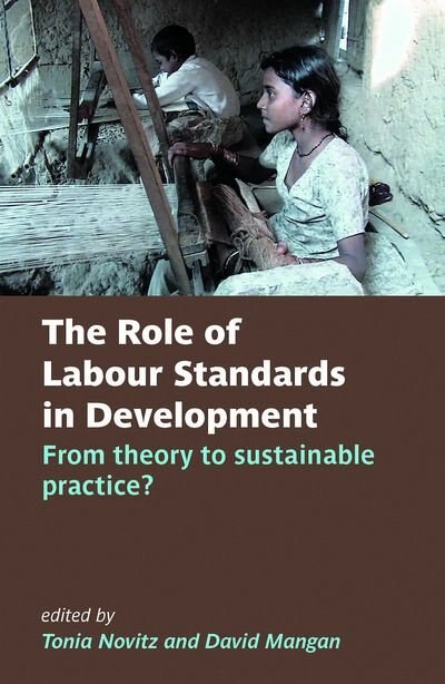The Role of Labour Standards in Development by Tonia Novitz, Paperback | Indigo Chapters