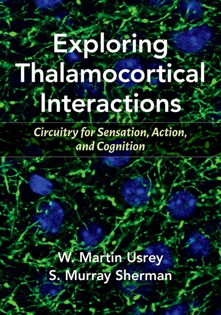Exploring Thalamocortical Interactions by W. Martin Usrey, Paperback | Indigo Chapters