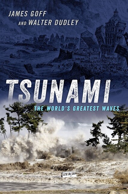 Tsunami by James Goff, Hardcover | Indigo Chapters