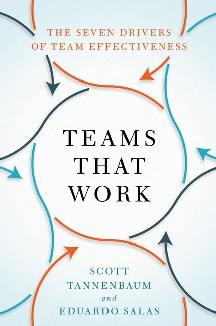 Teams That Work by Scott Tannenbaum, Paperback | Indigo Chapters