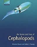 The Brains and Lives of Cephalopods by Marion Nixon, Hardcover | Indigo Chapters