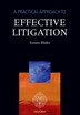 A Practical Approach to Effective Litigation by Susan Blake, Paperback | Indigo Chapters