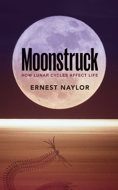 Moonstruck by Ernest Naylor, Paperback | Indigo Chapters