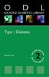 Type 1 Diabetes by David Levy, Paperback | Indigo Chapters