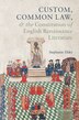 Custom Common Law and the Constitution of English Renaissance Literature by Stephanie Elsky, Hardcover | Indigo Chapters