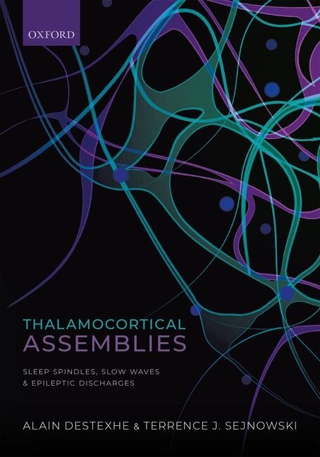 Thalamocortical Assemblies by Alain Destexhe, Paperback | Indigo Chapters