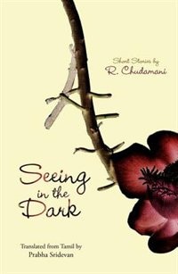Seeing in the Dark by R. Chudamani, Paperback | Indigo Chapters