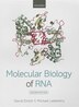 Molecular Biology of RNA by David Elliott, Paperback | Indigo Chapters