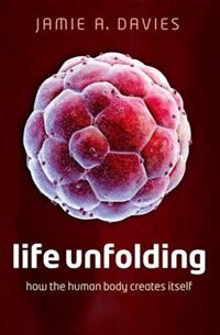 Life Unfolding by Jamie A. Davies, Paperback | Indigo Chapters
