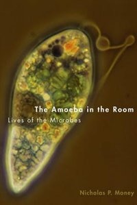 The Amoeba in the Room by Nicholas P. Money, Hardcover | Indigo Chapters