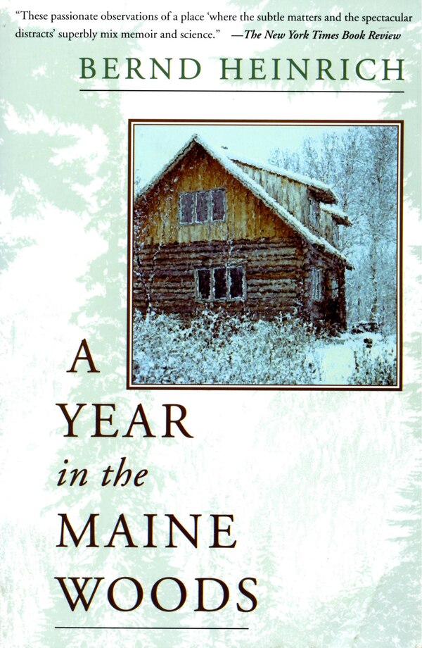 A Year In The Maine Woods by Bernd Heinrich, Paperback | Indigo Chapters