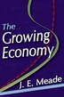 The Growing Economy by J E Meade, Paperback | Indigo Chapters