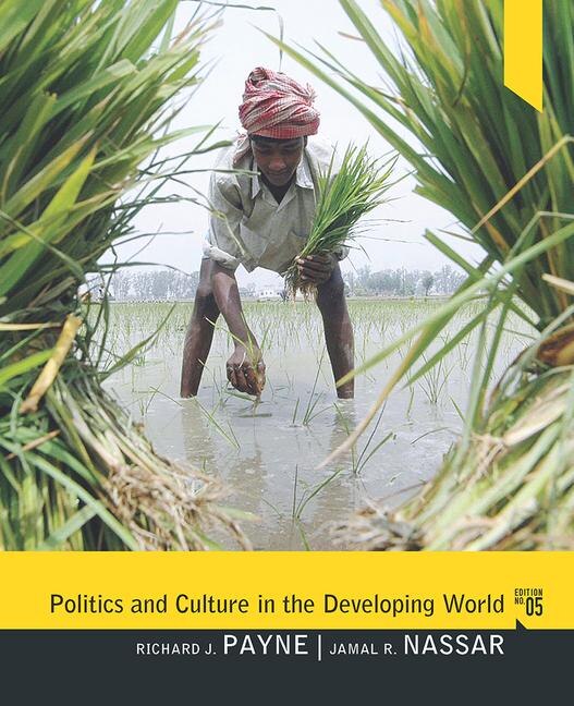 Politics and Culture in the Developing World by Richard Payne Paperback | Indigo Chapters