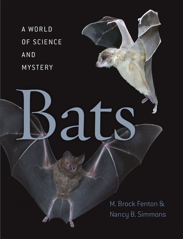 Bats by M. Brock Fenton, Hardcover | Indigo Chapters