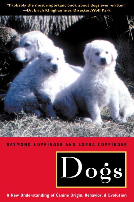 Dogs by Raymond Coppinger Paperback | Indigo Chapters