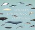 Whales Dolphins And Porpoises by Annalisa Berta, Hardcover | Indigo Chapters