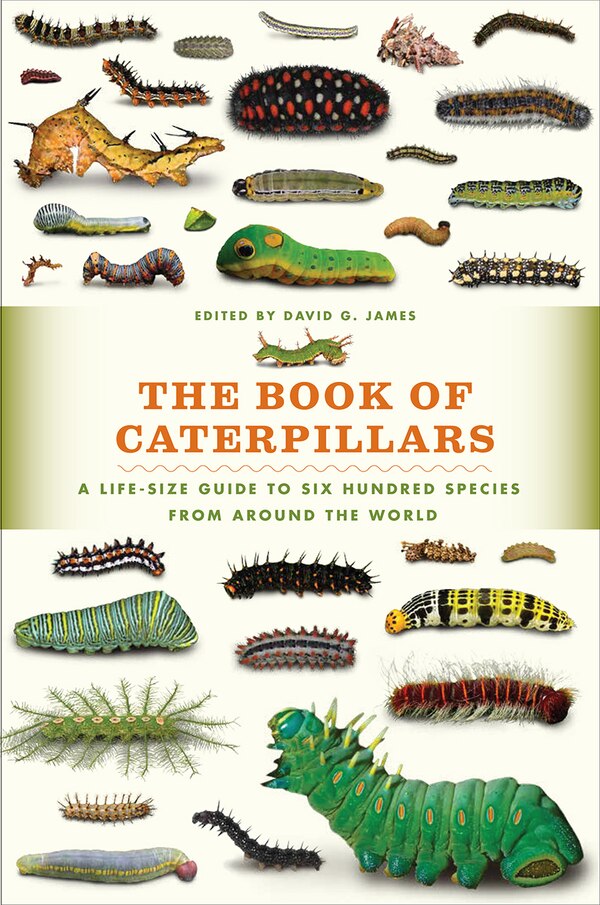 The Book of Caterpillars by David G. James, Hardcover | Indigo Chapters