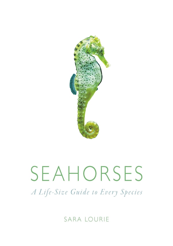 Seahorses by Sara A. Lourie, Hardcover | Indigo Chapters