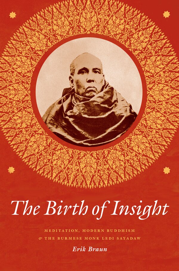 The Birth of Insight by Erik Braun, Paperback | Indigo Chapters