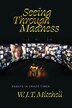 Seeing Through Madness by W. J. T. Mitchell, Paperback | Indigo Chapters