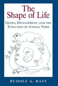 The Shape of Life by Rudolf A. Raff, Paperback | Indigo Chapters